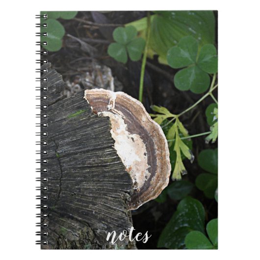 Polypore Fungus auf Baumstumpf Notizblock (Vorderseite)