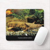 Polypterus Endlicheri Endlicheri 魚 の のス ド幼ウ Mousepad (Mit Mouse)