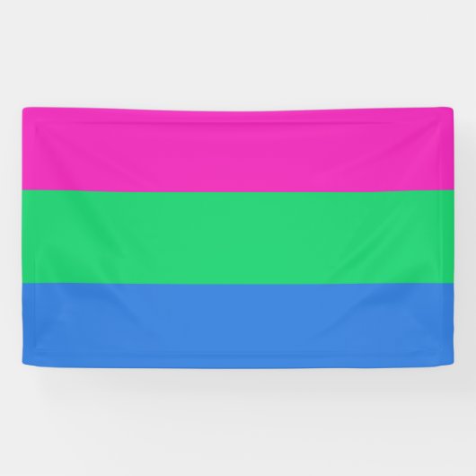 Polysex Pride Flag Banner (Horizontal)