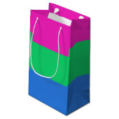 Polysex Pride Flag Kleine Geschenktüte (Rückseite Schrägansicht)