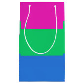 Polysex Pride Flag Kleine Geschenktüte (Vorderseite)