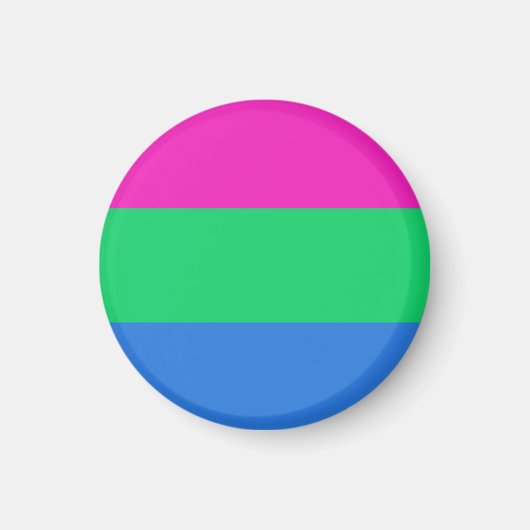 Polysex Pride Flag Magnet (Vorne)