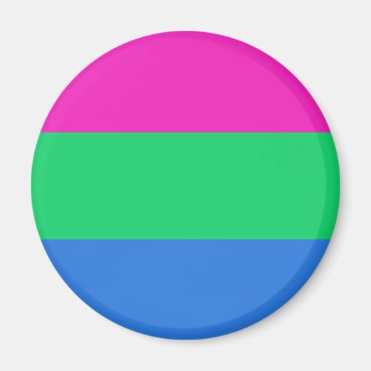 Polysex Pride Flag Magnet (Vorne)