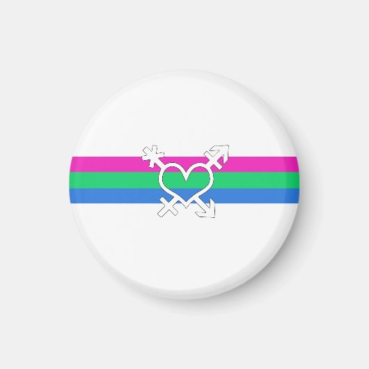 Polysex Pride Flag Magnet (Vorne)