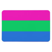 Polysex Pride Flag Magnet (Horizontal)