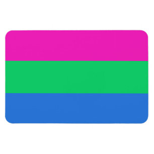 Polysex Pride Flag Magnet