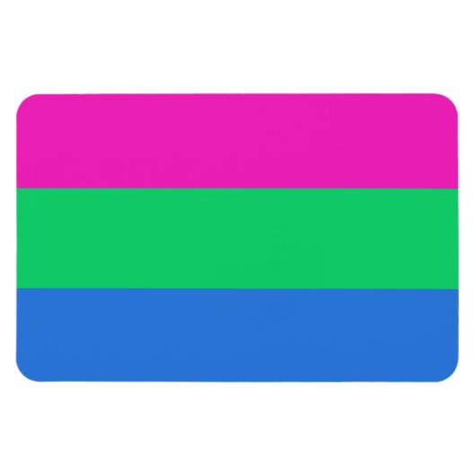 Polysex Pride Flag Magnet (Horizontal)
