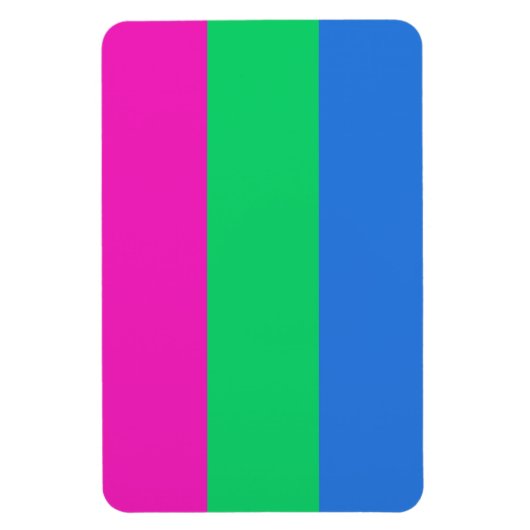 Polysex Pride Flag Magnet (Vertikal)