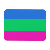 Polysex Pride Flag Magnet (Horizontal)