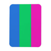 Polysex Pride Flag Magnet (Vertikal)