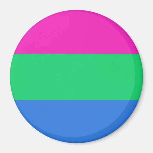 Polysex Pride Flag Magnet (Vorne)