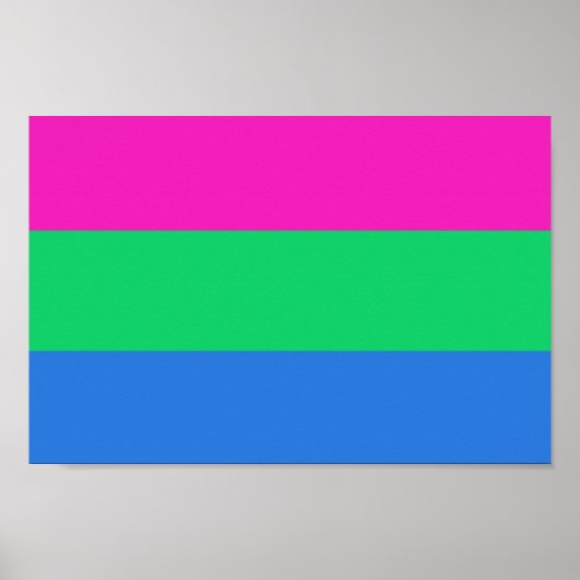 Polysex Pride Flag Poster (Vorne)