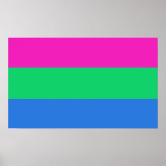 Polysex Pride Flag Poster (Vorne)