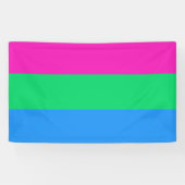 Polysexual Flag Banner (Horizontal)