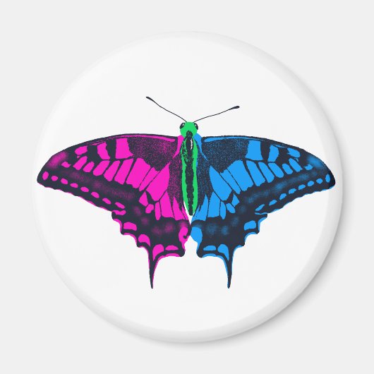 Polysexual Stolperflagge Frack Butterfly Magnet (Vorne)