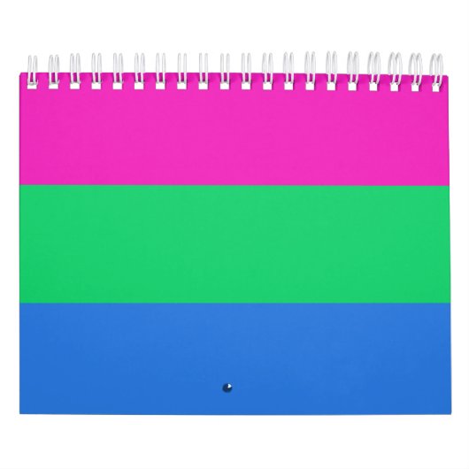 Polysexuelle Stolperflagge Kalender (Titelbild)