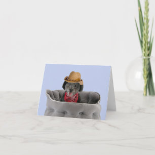 Pom-a-Poo Dog Blank Note Card nach Fokus für eine Karte