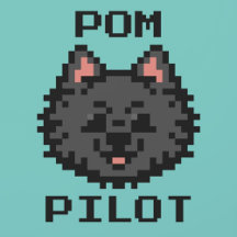 Pom Pilot - Auto Magnet