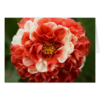 Pom-Pom-Dahlia-Karte