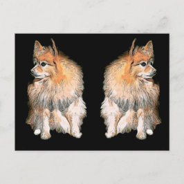 Pom wartete auf Sankt #2 Feiertagspostkarte