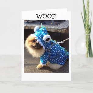 POM WIRD EINFACH AUFGEHALTEN, UM UNS GLÜCKLICH ZU KARTE