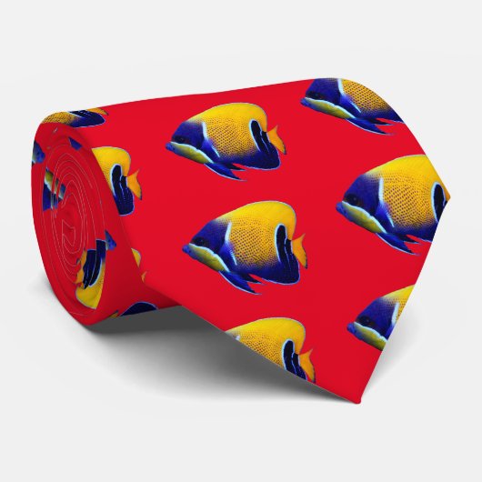 Pomacanthus navarchus krawatte (Gerollt)