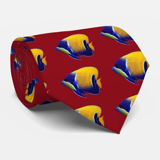 Pomacanthus navarchus krawatte (Gerollt)