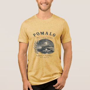 Pomalo-Dalmatinische Vintage-Küstenszene Tri-Blend Shirt