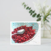 PomAqua Postkarte (Stehend Vorderseite)