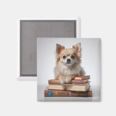 Pomchi auf einem Stapel Bücher Magnet (Vorderseite/Rückseite)