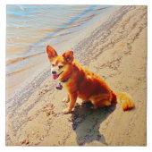 Pomchi Hund! Fliese (Vorderseite)