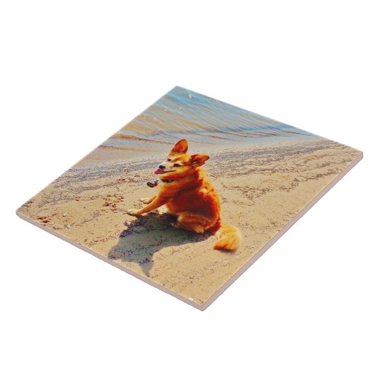 Pomchi Hund! Fliese (Seite)