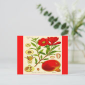 Pomegranat Postkarte (Stehend Vorderseite)