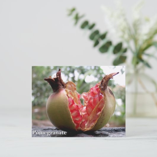 Pomegranat Postkarte (Stehend Vorderseite)