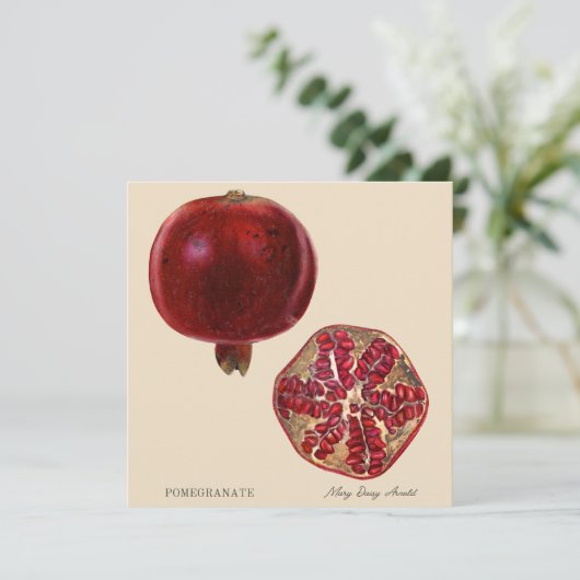 Pomegranate by Mary Daisy Arnold (Stehend Vorderseite)