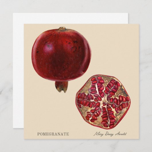 Pomegranate by Mary Daisy Arnold (Vorne/Hinten)