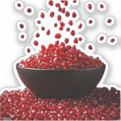 Pomegranate Illustration – Elegant Fruit Design Aufkleber (Vorderseite)