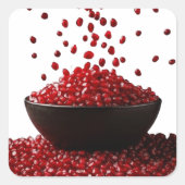 Pomegranate Illustration – Elegant Fruit Design Quadratischer Aufkleber (Vorderseite)
