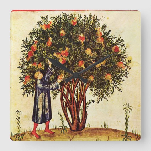 POMEGRANATE TREE ANTIQUE MEDIEVAL PARCHMENT,Rustic Quadratische Wanduhr (Vorderseite)
