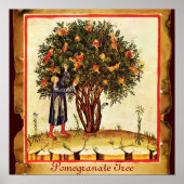 POMEGRANATE TREE ANTIQUE PARCHMENT POSTER (Vorne)