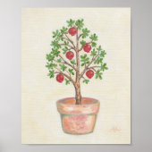 Pomegranate Tree Art Print Poster (Vorne)