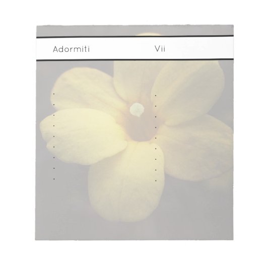 Pomelnik Notizblock (Vorderseite)