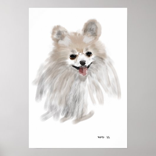 Pomerainian Poster (Vorne)