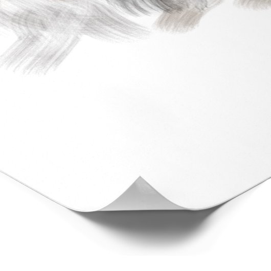 Pomerainian Poster (Ecke)