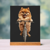 Pomeranian Acrylschild (Neutral)