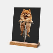 Pomeranian Acrylschild (Winkel)