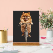 Pomeranian Acrylschild (Hochzeit)