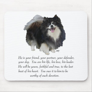 Pomeranian Andenken Rüde Mousepad