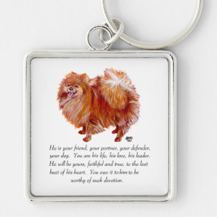 Pomeranian Andenken Rüde Schlüsselanhänger