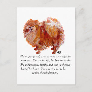 Pomeranian Andenken Weiblich Postkarte